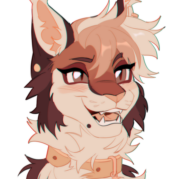 Headshot $30